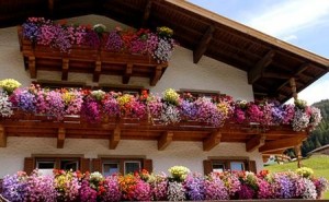 I balconi fioriti di Santarcangelo